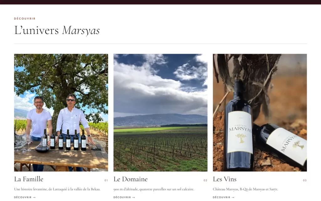 Château Marsyas: The family, the estate and the wines