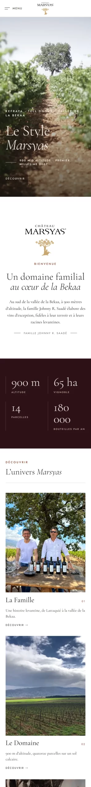 A website we built, on a phone